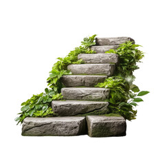 Stone steps in staircase with plants for landscaping. Rock steps isolated on transparent backround.