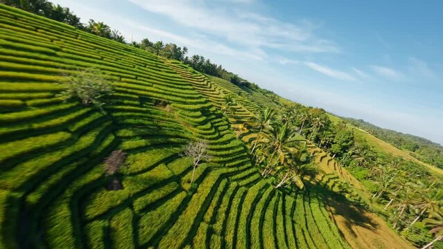 Belimbing Rice terraces with FPV Drone at Bali Island, Indonesia - Fast manual Drone close proximity flight
