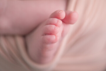 Newborn baby details macro photography toes fingers head lips ears