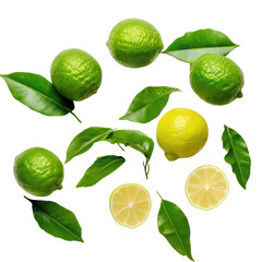 Top view of Bergamot fruit and green leaf on transparent backround, flat lay. - obrazy, fototapety, plakaty