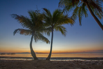 Beautiful pair of palm trees during the sunset hour in Florida Deys