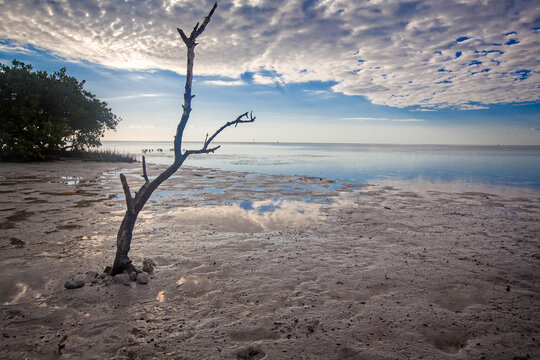 Beautiful landscape of low tide in the early morning off Key West