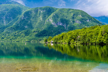 Naklejka na ściany i meble A view of reflections from the northern shore of Lake Bohinj at Bohinjsko Jezero, Slovenia in summertime