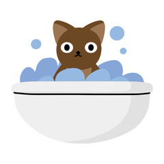 Cat taking shower in bath full of soap foam and bubles.