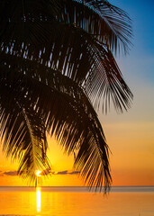 Palm tree frames the shot from the left side over a very colorful sunset in Key West