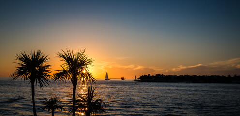 Fototapeta na wymiar Sun setting of coast of Key West with sailboats, palm trees and clouds