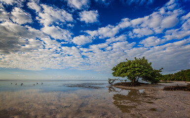 White fluffy clouds fill the sky and waters off Key West