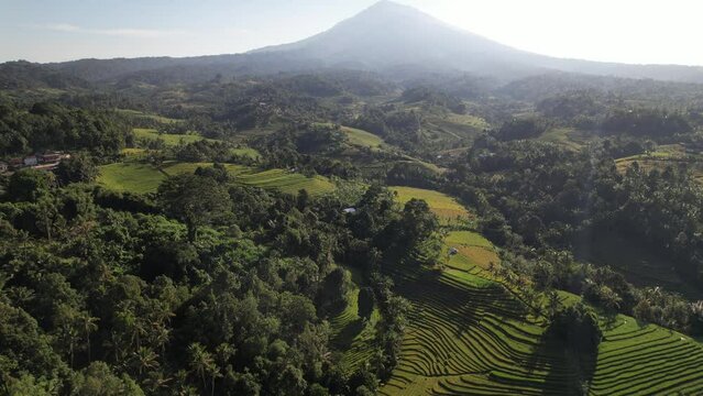 Belimbing Rice terraces at Bali Island, Indonesia - DJI Mavic Drone slow long straight flight 3