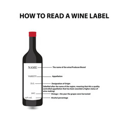 Wine bottle with the text how to read a wine label