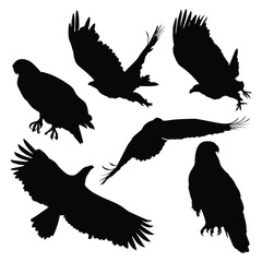 Black Flying Eagle Silhouettes Vector Illustration