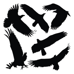 Black Flying Eagle Silhouettes Vector Illustration
