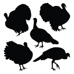 Animal turkey silhouettes Vector Collection