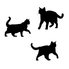 Vector set of black cat illustration. icon sheet of cats. black logo of feline. graphic element for halloween.