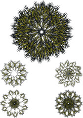 illustration of a dandelion