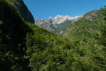 Fototapeta na wymiar Precioso valle de Albania