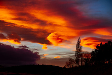Fototapeta premium sunset over the field