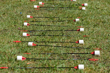 Close-up of a arrows for archery tag on the grass.