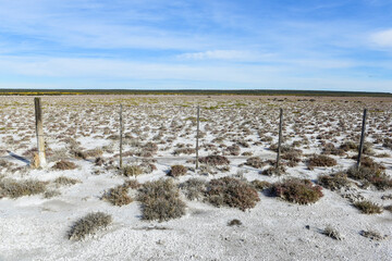 Salty soil in a dry lagoon, in the south of the province of La Pampa, Patagonia, Argentina.