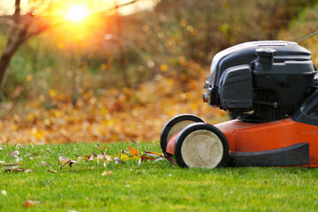 Autumn season, lawn mowing in the garden. - obrazy, fototapety, plakaty
