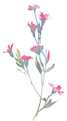 Fototapeta premium pink delicate flowers isolated on transparent png, generative ai, flowers isolated on white