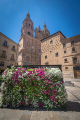 Fototapeta na wymiar Casa de las Conchas y Universidad Pontificia de Salamanca