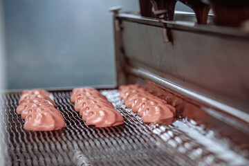 Process of chocolate glazing zephyrs in confectionery on conveyor machine. Marshmallow production line