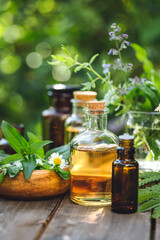 Herbal pure natural cosmetic ingredients on wooden background. Mix of holistic flowers and herbs, salt, massage herb-infused essential oil in glass bottles. Aromatherapy, fragrance production