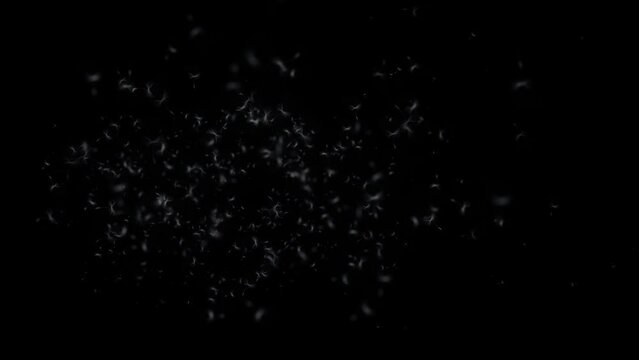 Seeds, pollen, plant matter drifting and floating in the wind, with alpha channel, 4k