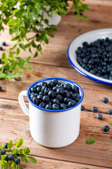 Fototapeta na wymiar Blueberry in white cup on wooden table. Vitamins. Healthy food. Juicy berry.