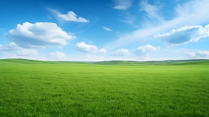Foto auf Acrylglas Wiese, Sumpf Panoramic View of a beautiful green Field and a Cloudy Sky