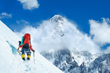Climber reaches the summit of mountain peak. National Park, Nepal. - 631306723