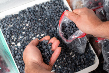 Frozen berries: blueberries in a plastic bag. Frozen berries.
