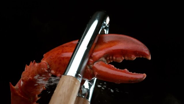 Lobster claw with water splashing in slow motion