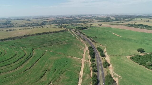 Road between plantations landscape trees Drone SP - 294 Brazil