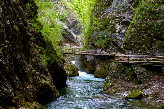 Vintgar Gorge or Bled Gorge is a 1.6 km long gorge in northwestern Slovenia. This natural nature reserve. The Vintgar Gorge is one of the most important tourist attractions in Slovenia.Tourism.