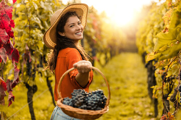 Woman with basket of grapes in vineyard - 631312727