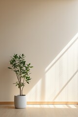 Beautiful house plant in the pot on wooden floor set beside the wall with sunbeam and shadow on biege empty wall. Vertical background, mockup backdrop. Green houseplant decoration. Products overlay