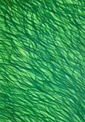 Hand drawn watercolor marker close up abstract background