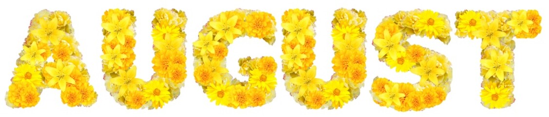 word august with yellow flowers