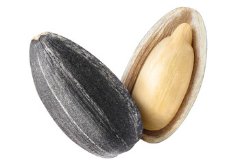 Delicious sunflower seed cut out