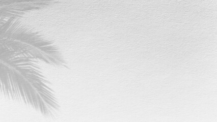 palm leaf background.