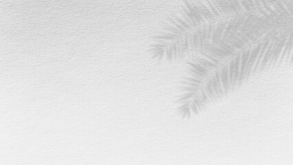 palm leaf background.