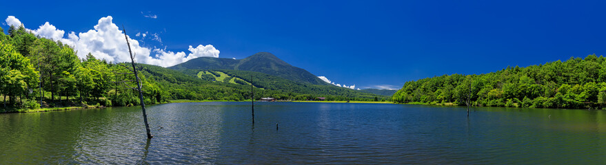 長野県・立科町 夏の蓼科山と女神湖のパノラマ風景
