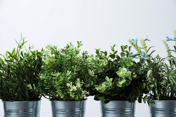 Different artificial potted herbs on white background