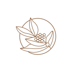 Coffee Logo, Coffee Tree Design, Cafe Drink Vector, Icon Brand Illustration Symbol