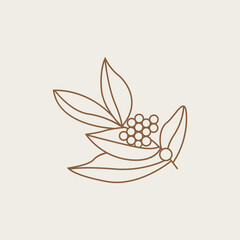 Coffee Logo, Coffee Tree Design, Cafe Drink Vector, Icon Brand Illustration Symbol