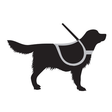 Assistance Dog
