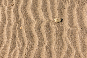 Fototapeta na wymiar Pequeña piedra sobre ondas de arena en la playa