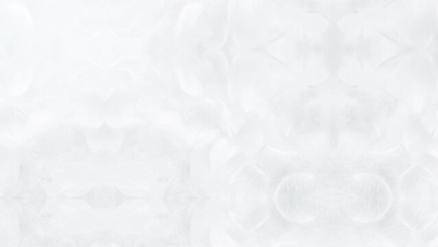 羽 羽毛 パーティクル BG66_04