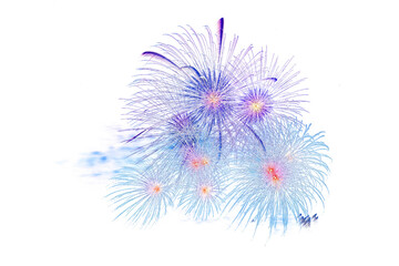 beautiful colorful firework display set and reflec on water for celebration happy new year and merry christmas and  fireworks on white background